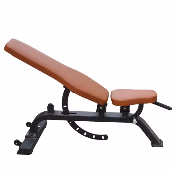 Wholesale Professional Fitness Equipment Sit up Chair Weight Bench